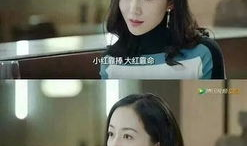 娱乐圈吃瓜封面小说,瓜田里的秘密风云